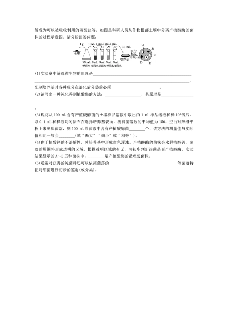 专题35微生物的培养技术及应用（精练）（原卷版）_新高考复习资料_2024年新高考复习资料_一轮复习资料_完备战2024年高考生物一轮复习串讲精练（新高考专用）_精练
