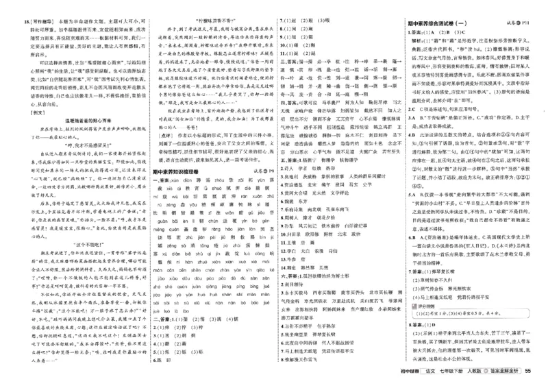 2025春《53初中试卷》语文RJ7下_初中全科电子版试卷练习试题_初中全科《53中考试卷》2025版（多版本）_2025春53初中试卷7年级下册人教版(1)