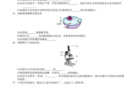 2024年中考押题预测卷01（天津卷）-生物（考试版）A4_初中全科电子版试卷练习试题_生物_2024中考模拟题生物(1)_押题预测