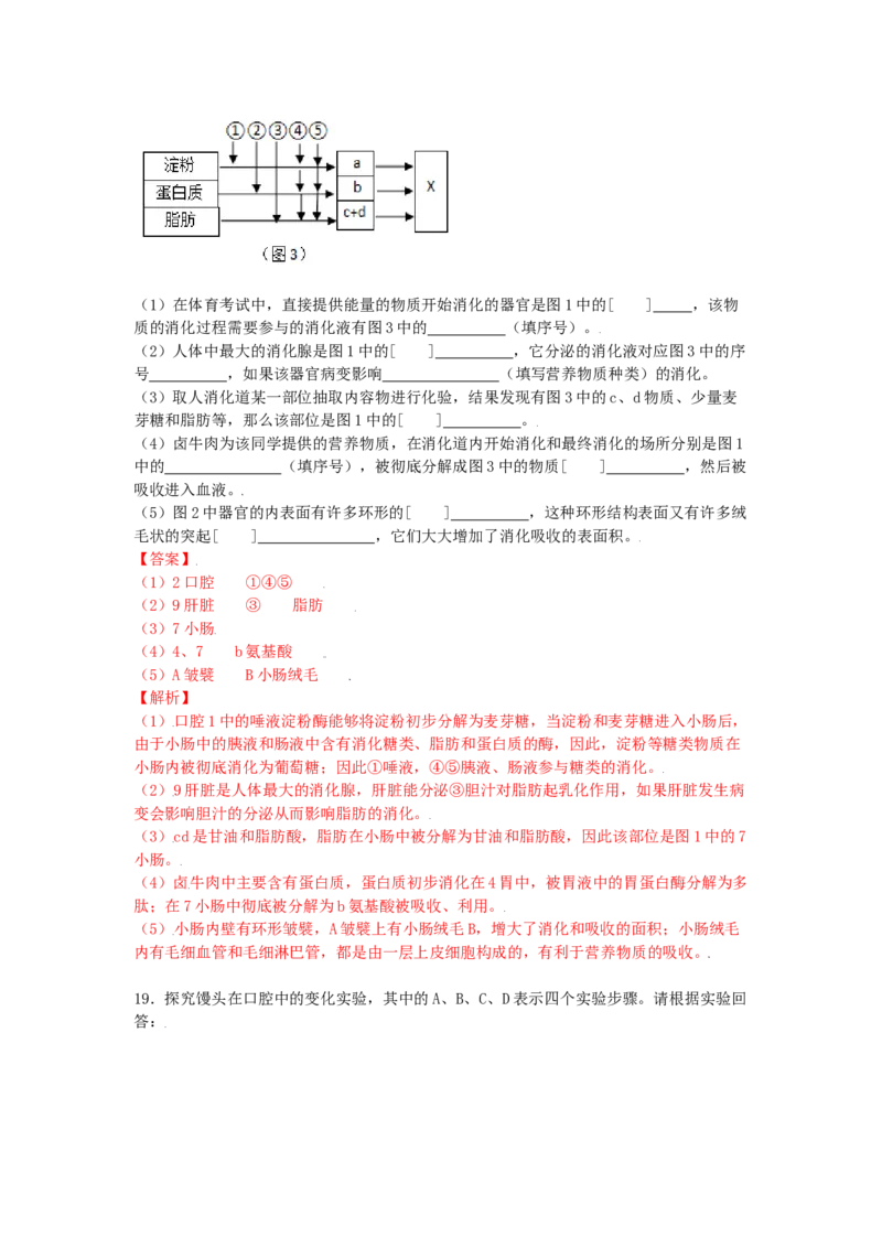 4.2.2消化和吸收-（人教版）（解析版）_初中全科电子版试卷练习试题_生物_生物人教版7下练习_人教生物7年级下课时练习40份_第1套七年级生物下册课时练习（人教版）20份