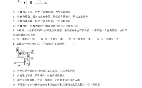 4.5人体内废物的排出（原卷版）_初中全科电子版试卷练习试题_生物_生物人教版7下练习_人教生物7年级下课时练习40份_第2套七年级生物下册课时练习（人教版）20份