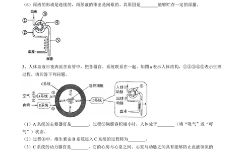 4.5人体内废物的排出（原卷版）_初中全科电子版试卷练习试题_生物_生物人教版7下练习_人教生物7年级下课时练习40份_第2套七年级生物下册课时练习（人教版）20份