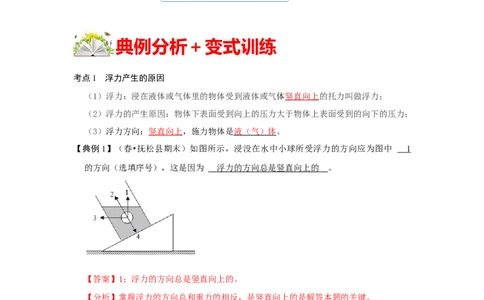 10.1浮力（解析版）_初中全科电子版试卷练习试题_物理_8年级下册物理试题_人教版物理八年级下课时练习（045份）_课时练习第1套20份