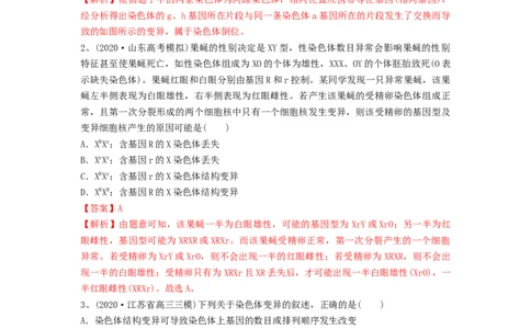 专题21染色体变异与育种（精练）（解析版）_新高考复习资料_2024年新高考复习资料_一轮复习资料_完备战2024年高考生物一轮复习串讲精练（新高考专用）_精练_解析版