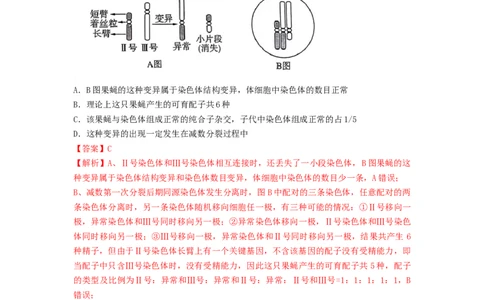 专题21染色体变异与育种（精练）（解析版）_新高考复习资料_2024年新高考复习资料_一轮复习资料_完备战2024年高考生物一轮复习串讲精练（新高考专用）_精练_解析版