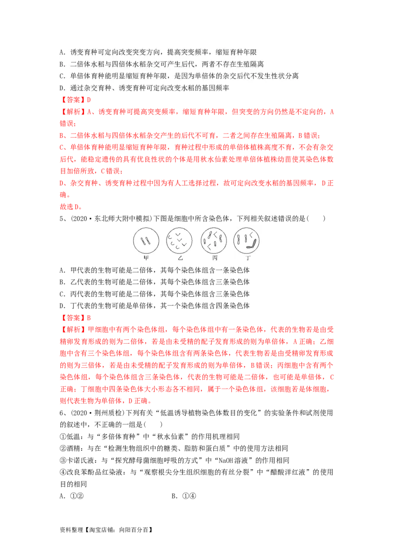 专题21染色体变异与育种（精练）（解析版）_新高考复习资料_2024年新高考复习资料_一轮复习资料_完备战2024年高考生物一轮复习串讲精练（新高考专用）_精练_解析版