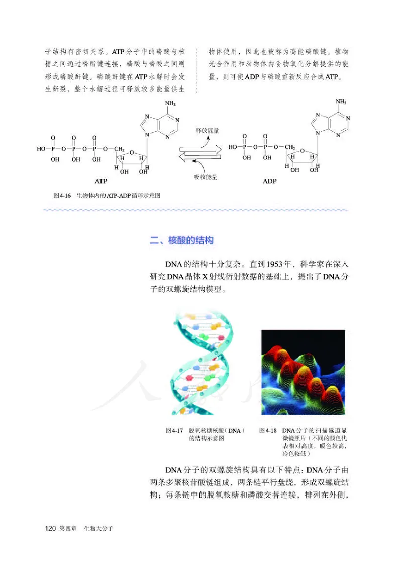 人教版化学选修3_高中电子课本_最新版高中全科高清电子课本_5高中化学课本_2019新人教版