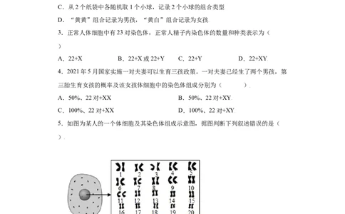 7.2.4人的性别遗传（练习）-（人教版）（原卷版）_初中全科电子版试卷练习试题_生物_生物8下练习_人教生物8年级下课时练习51份