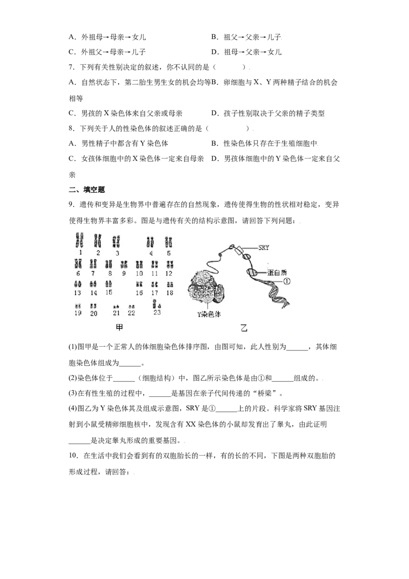 7.2.4人的性别遗传（练习）-（人教版）（原卷版）_初中全科电子版试卷练习试题_生物_生物8下练习_人教生物8年级下课时练习51份