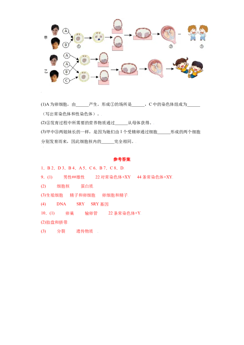 7.2.4人的性别遗传（练习）-（人教版）（原卷版）_初中全科电子版试卷练习试题_生物_生物8下练习_人教生物8年级下课时练习51份