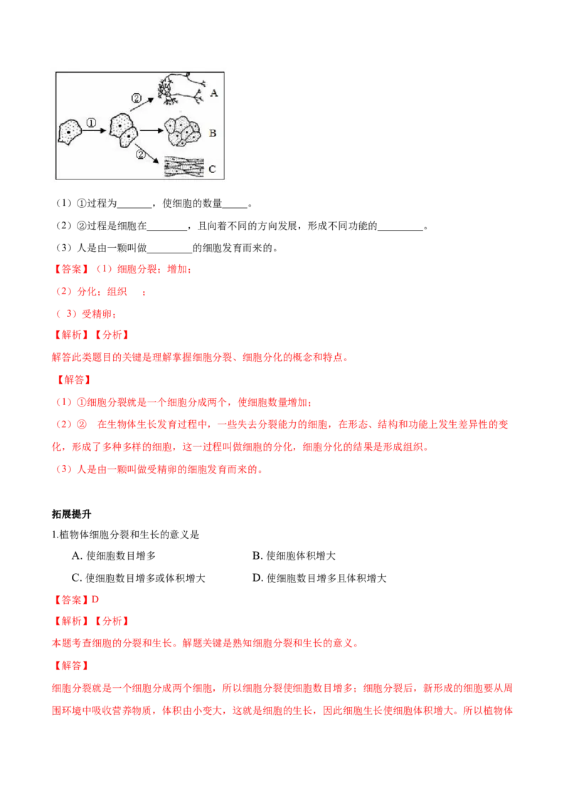 专题2.2.1细胞通过分裂产生新细胞（解析版）_初中全科电子版试卷练习试题_生物_生物人教版7上练习&mdash;24新版已更新_人教生物7年级上课时练习39份