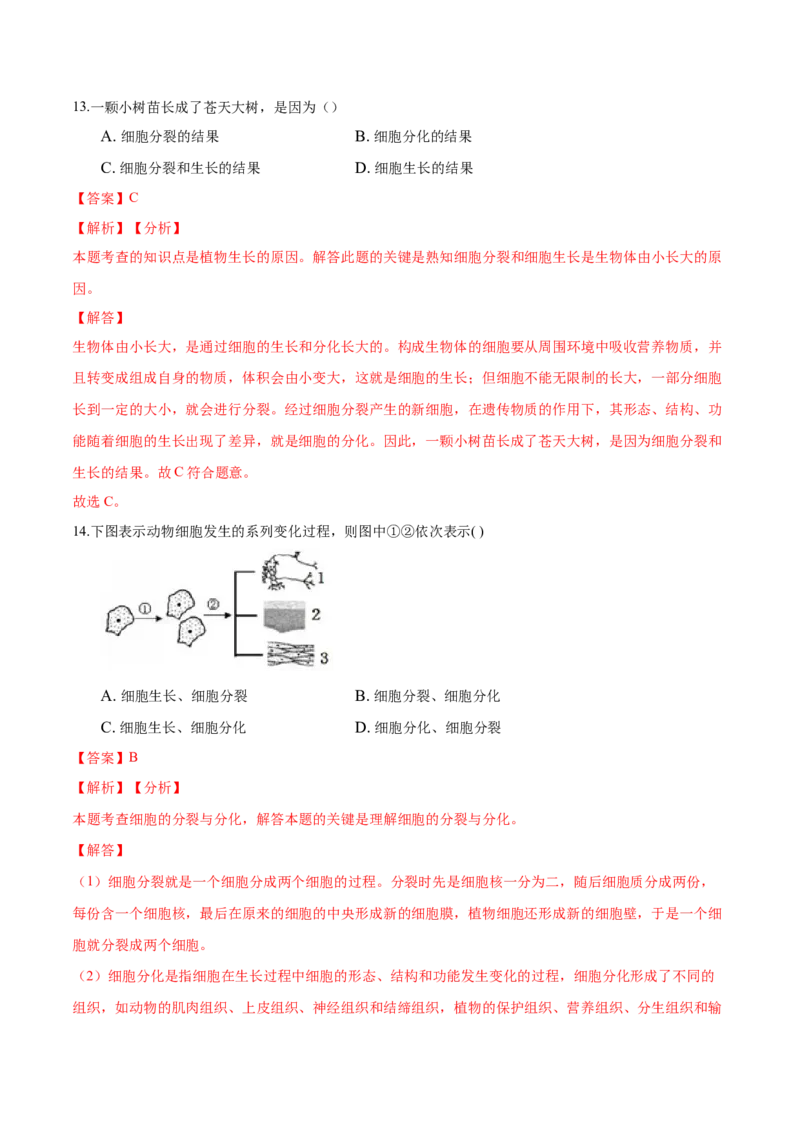 专题2.2.1细胞通过分裂产生新细胞（解析版）_初中全科电子版试卷练习试题_生物_生物人教版7上练习&mdash;24新版已更新_人教生物7年级上课时练习39份