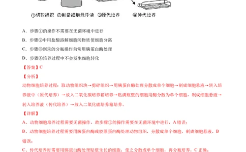 专题19现代生物科技专题-2021年高考真题和模拟题生物分项汇编（解析版）_新高考复习资料_2022年新高考复习资料_2021年高考真题和模拟题生物分项汇编7.30更新