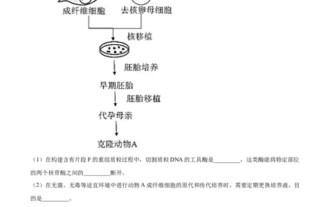 专题19现代生物科技专题-2021年高考真题和模拟题生物分项汇编（解析版）_新高考复习资料_2022年新高考复习资料_2021年高考真题和模拟题生物分项汇编7.30更新