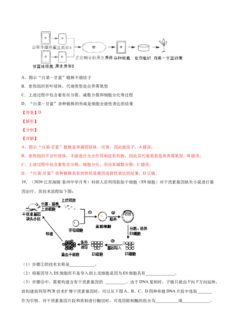 专题19现代生物科技专题-2021年高考真题和模拟题生物分项汇编（解析版）_新高考复习资料_2022年新高考复习资料_2021年高考真题和模拟题生物分项汇编7.30更新