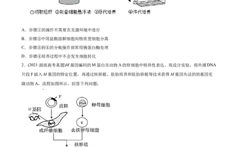 专题19现代生物科技专题-2021年高考生物真题与模拟题分类训练（学生版）_新高考复习资料_2023年新高考复习资料_一轮复习_2023年新高考大一轮复习讲义