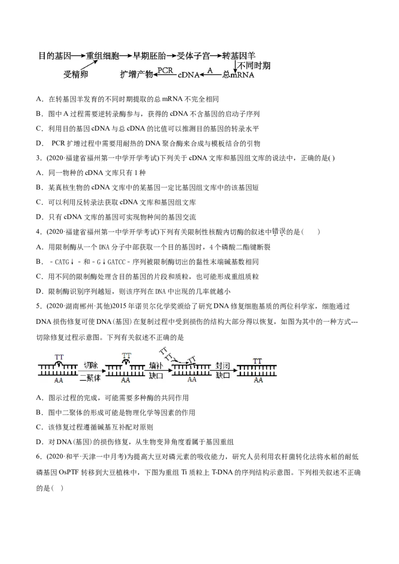 专题19现代生物科技专题-2021年高考生物真题与模拟题分类训练（学生版）_新高考复习资料_2023年新高考复习资料_一轮复习_2023年新高考大一轮复习讲义