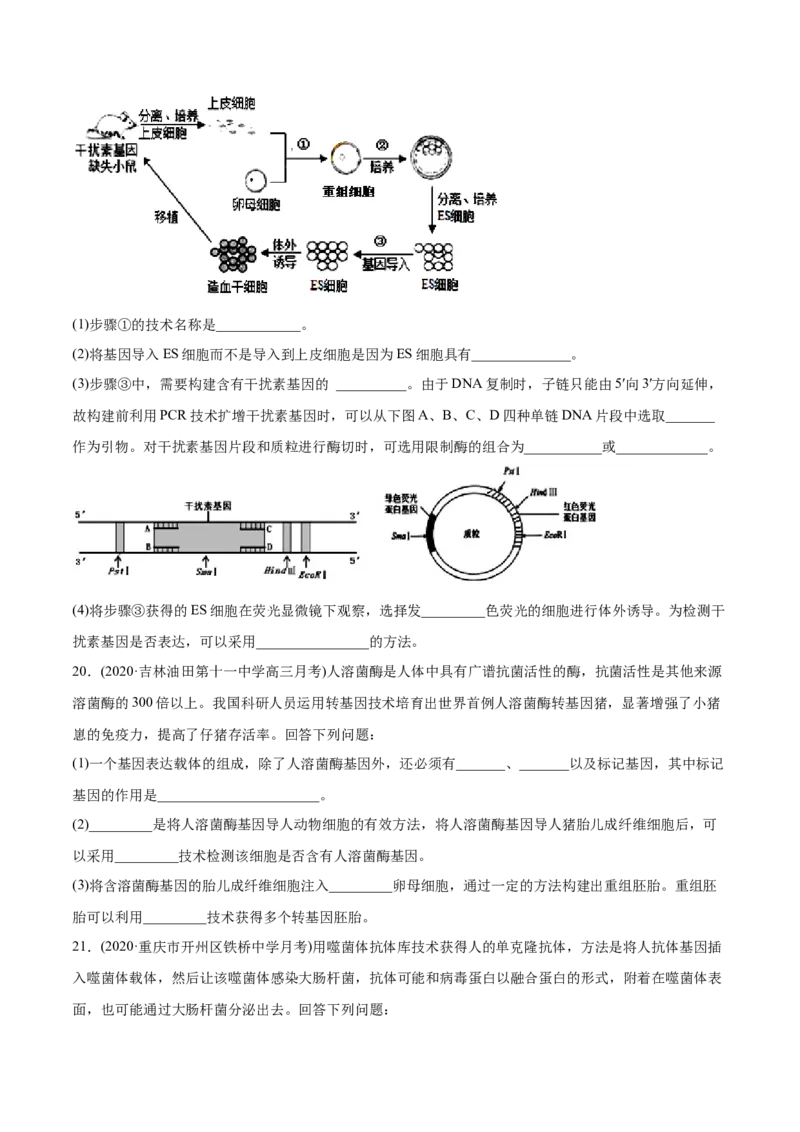 专题19现代生物科技专题-2021年高考生物真题与模拟题分类训练（学生版）_新高考复习资料_2023年新高考复习资料_一轮复习_2023年新高考大一轮复习讲义