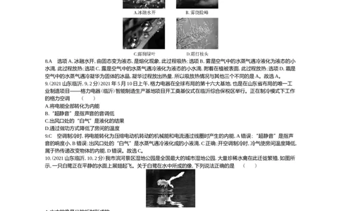 2021山东临沂物理试卷+答案+解析(word整理版)_山东历年中考真题_山东省历年中考真题2013~2024_初中物理历年真题（2013-2024）