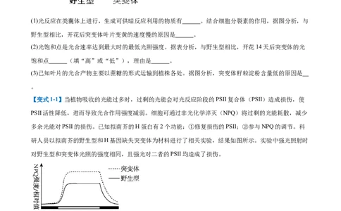 专题20非选择专题（5大题型）（原卷版）_2025年新高考资料_一轮复习_备战2025年高考生物一轮复习题型全覆盖（新高考通用）
