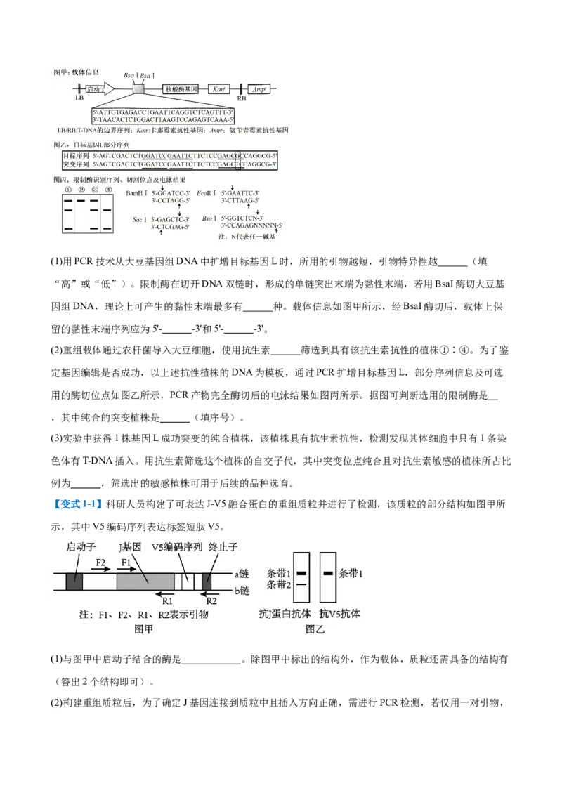 专题20非选择专题（5大题型）（原卷版）_2025年新高考资料_一轮复习_备战2025年高考生物一轮复习题型全覆盖（新高考通用）