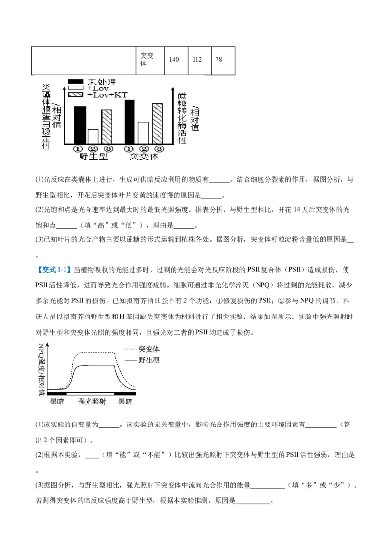 专题20非选择专题（5大题型）（原卷版）_2025年新高考资料_一轮复习_备战2025年高考生物一轮复习题型全覆盖（新高考通用）