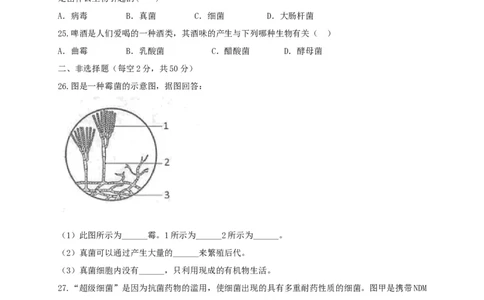 5.4细菌和真菌（章末检测）（备作业）-（人教版）（原卷版）_初中全科电子版试卷练习试题_生物_生物8上练习_人教生物8年级上单元试卷48份