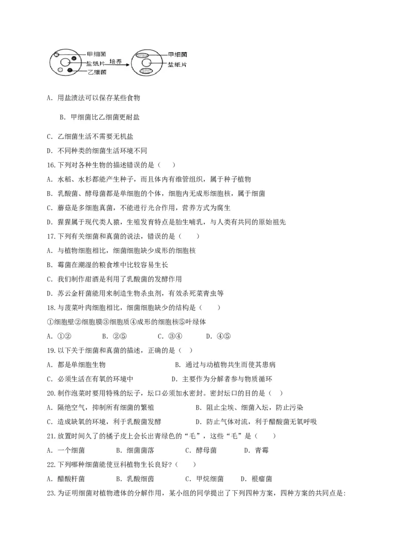 5.4细菌和真菌（章末检测）（备作业）-（人教版）（原卷版）_初中全科电子版试卷练习试题_生物_生物8上练习_人教生物8年级上单元试卷48份
