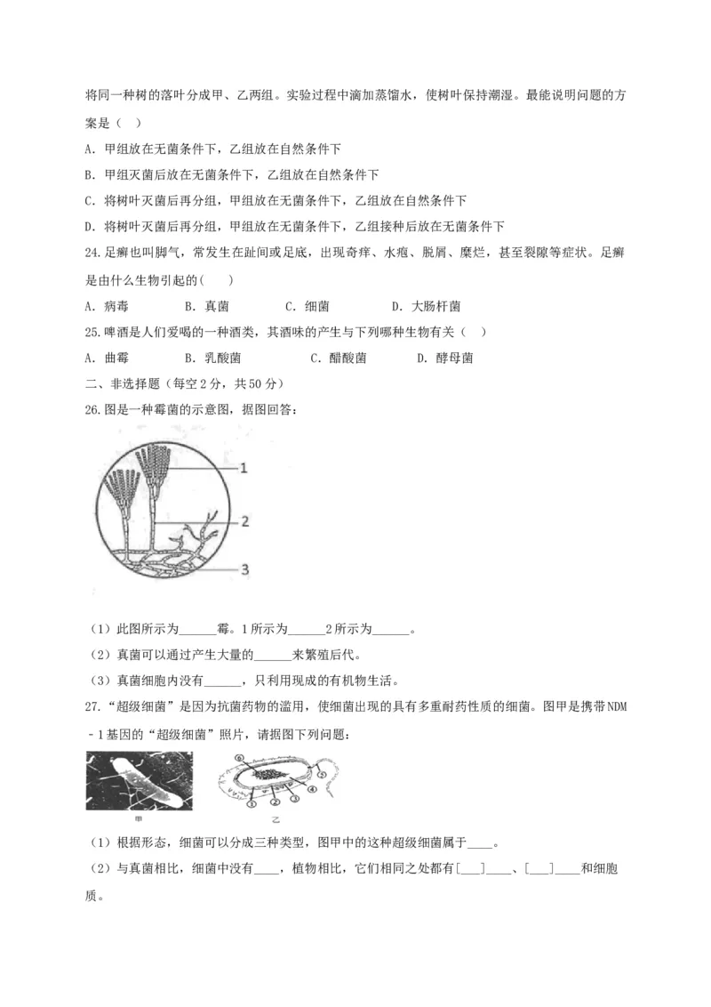 5.4细菌和真菌（章末检测）（备作业）-（人教版）（原卷版）_初中全科电子版试卷练习试题_生物_生物8上练习_人教生物8年级上单元试卷48份