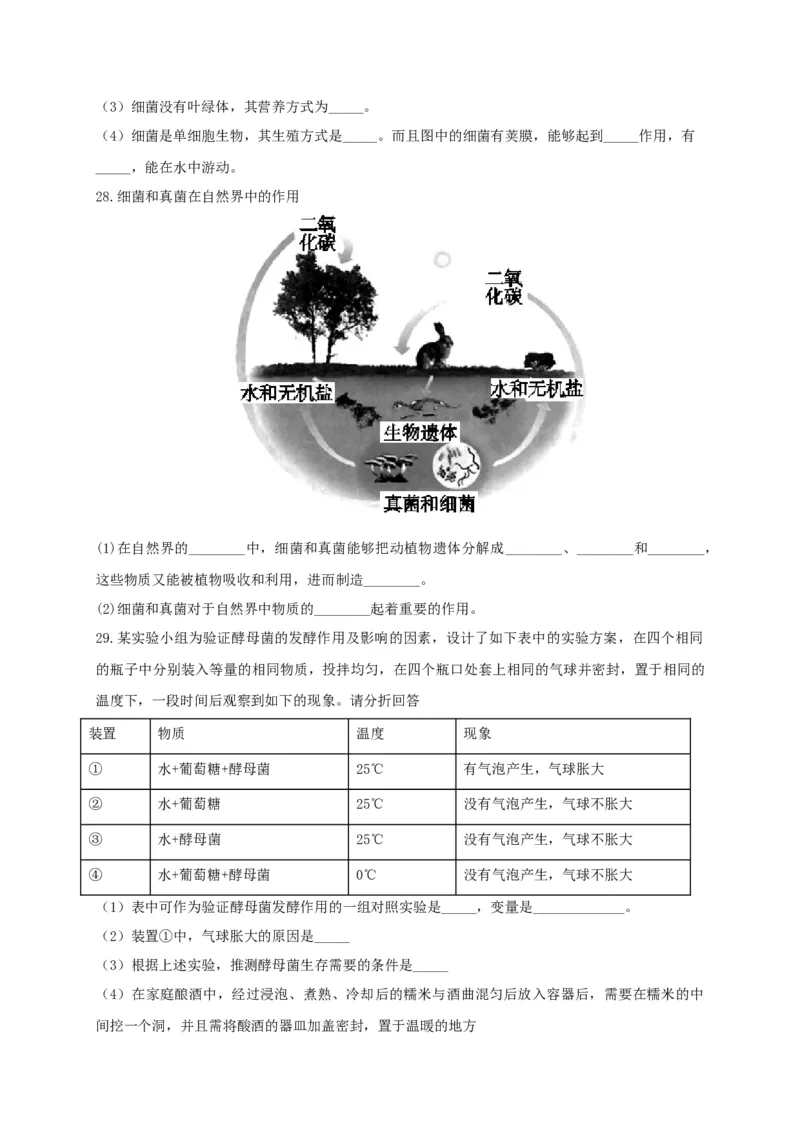 5.4细菌和真菌（章末检测）（备作业）-（人教版）（原卷版）_初中全科电子版试卷练习试题_生物_生物8上练习_人教生物8年级上单元试卷48份