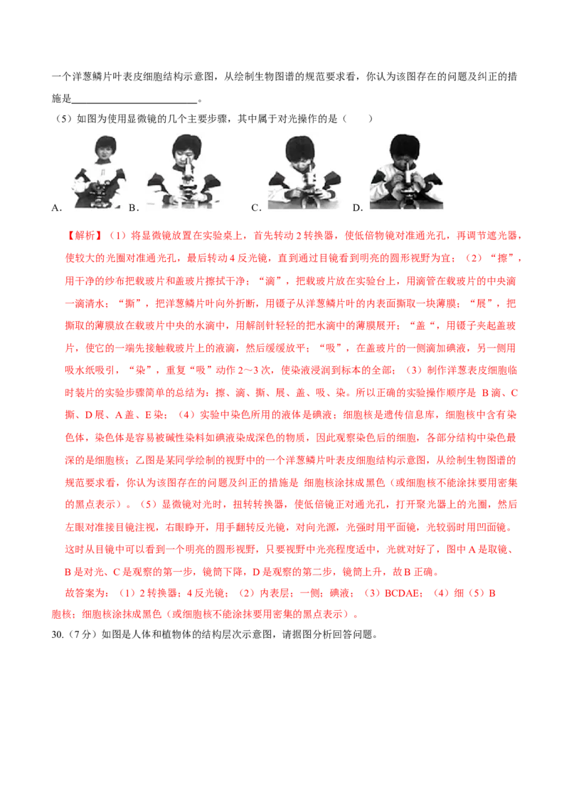 七年级上册人教版期中测试03（解析版）_初中全科电子版试卷练习试题_生物_生物人教版7上练习&mdash;24新版已更新_人教生物7年级上期中试卷07份