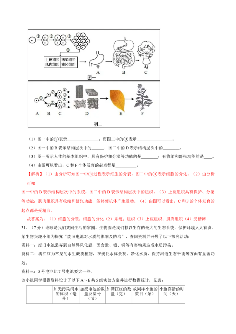 七年级上册人教版期中测试03（解析版）_初中全科电子版试卷练习试题_生物_生物人教版7上练习&mdash;24新版已更新_人教生物7年级上期中试卷07份