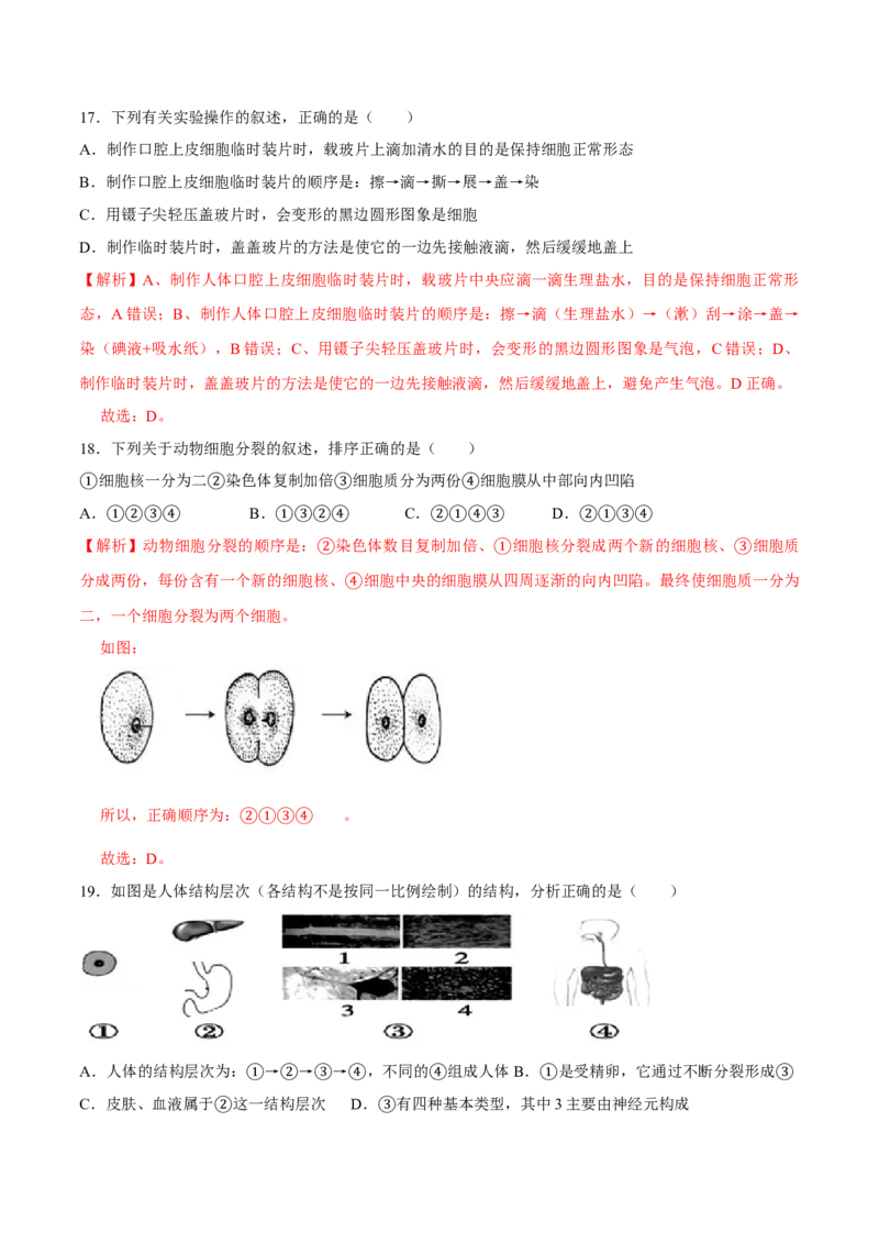 七年级上册人教版期中测试03（解析版）_初中全科电子版试卷练习试题_生物_生物人教版7上练习&mdash;24新版已更新_人教生物7年级上期中试卷07份
