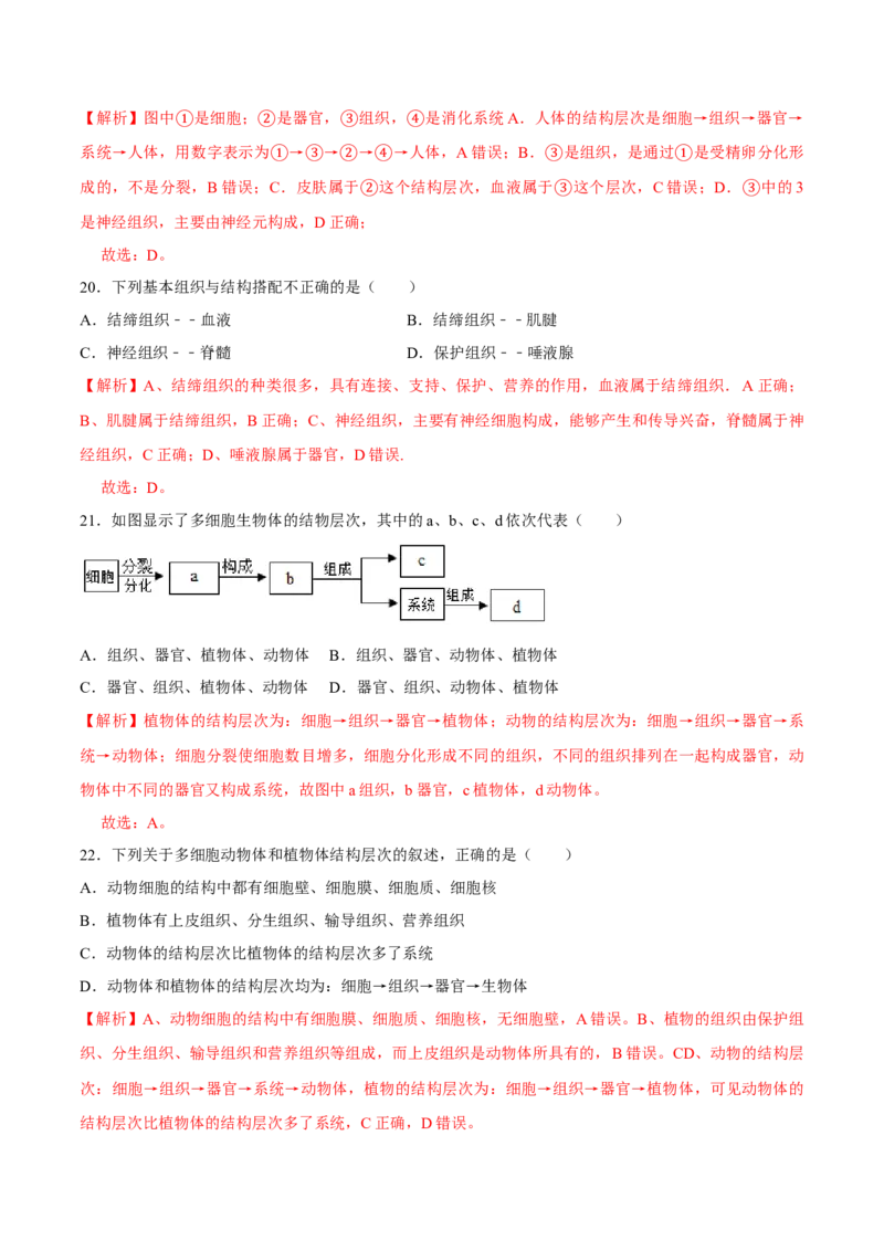 七年级上册人教版期中测试03（解析版）_初中全科电子版试卷练习试题_生物_生物人教版7上练习&mdash;24新版已更新_人教生物7年级上期中试卷07份