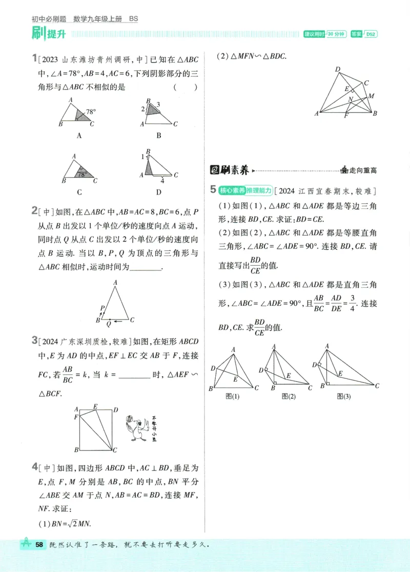 2025版《初中必刷题》数学BS9上_初中全科电子版试卷练习试题_25初中必刷题_2025版《初中必刷题》数学BS9上