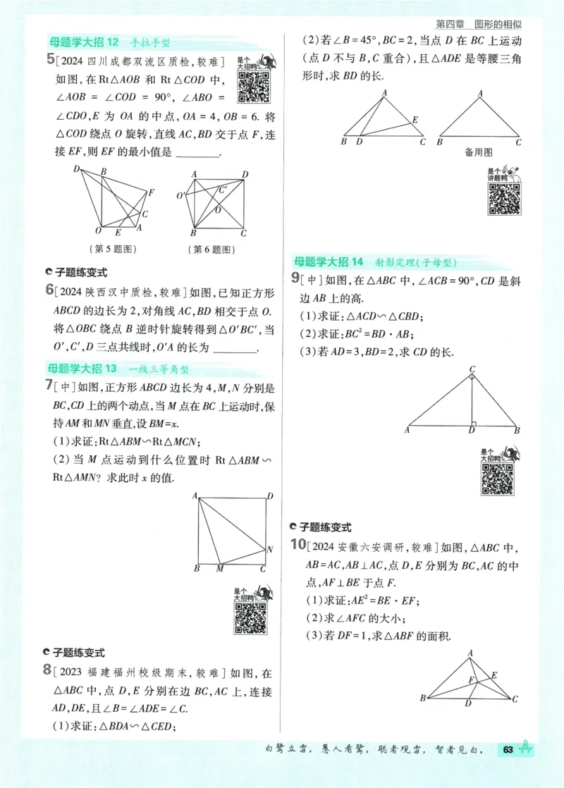 2025版《初中必刷题》数学BS9上_初中全科电子版试卷练习试题_25初中必刷题_2025版《初中必刷题》数学BS9上