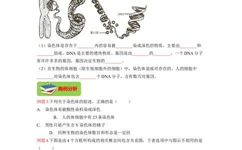 专题04基因控制生物的形状及基因在亲子代间的传递（原卷版）-2021-2022学年八年级上学期期末复习之重难点突破（人教版）_初中全科电子版试卷练习试题_生物_生物8上练习