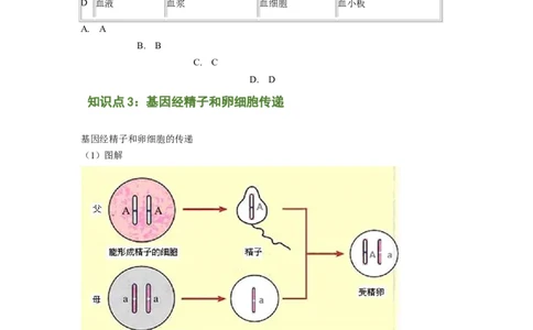 专题04基因控制生物的形状及基因在亲子代间的传递（原卷版）-2021-2022学年八年级上学期期末复习之重难点突破（人教版）_初中全科电子版试卷练习试题_生物_生物8上练习