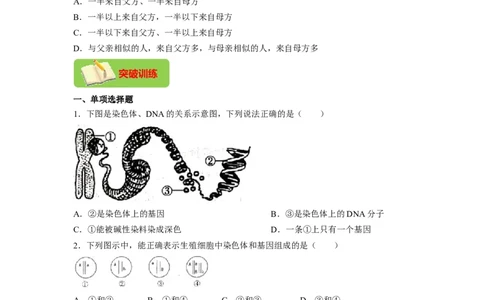 专题04基因控制生物的形状及基因在亲子代间的传递（原卷版）-2021-2022学年八年级上学期期末复习之重难点突破（人教版）_初中全科电子版试卷练习试题_生物_生物8上练习
