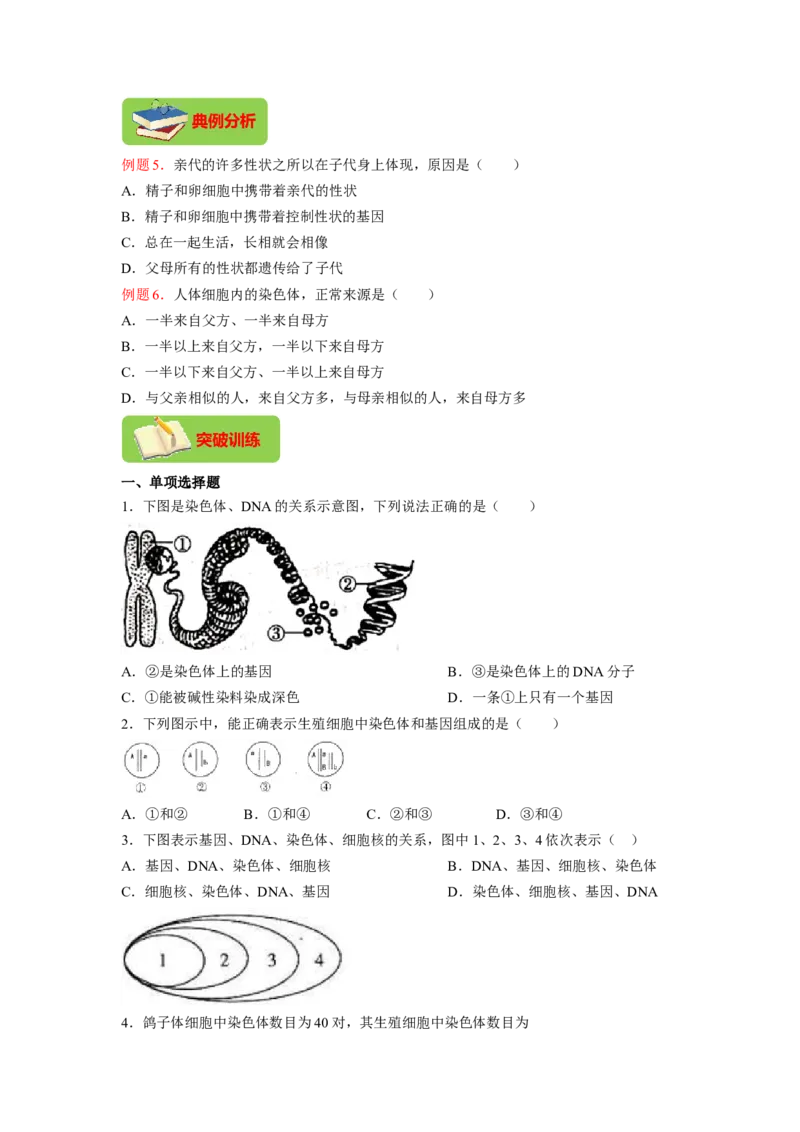 专题04基因控制生物的形状及基因在亲子代间的传递（原卷版）-2021-2022学年八年级上学期期末复习之重难点突破（人教版）_初中全科电子版试卷练习试题_生物_生物8上练习