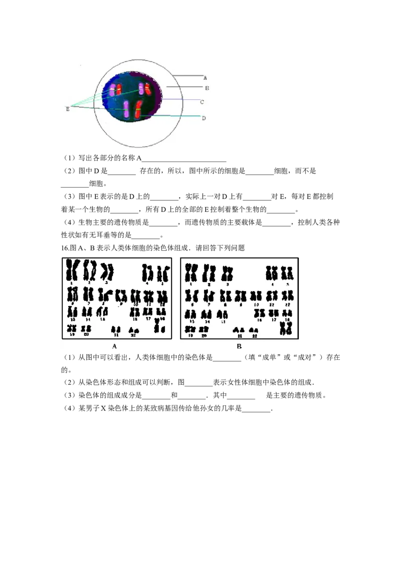 专题04基因控制生物的形状及基因在亲子代间的传递（原卷版）-2021-2022学年八年级上学期期末复习之重难点突破（人教版）_初中全科电子版试卷练习试题_生物_生物8上练习