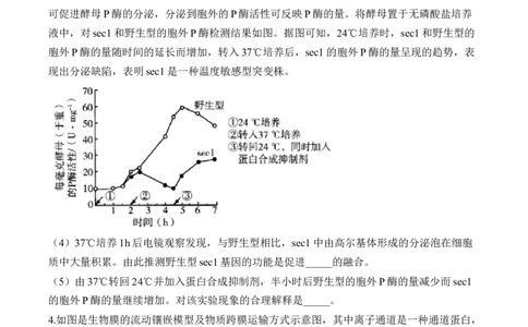 专题2细胞的结构与物质运输（非选择题）&mdash;&mdash;2025届高考生物学模块分练新高考版（含解析）_2025年新高考资料_二轮复习