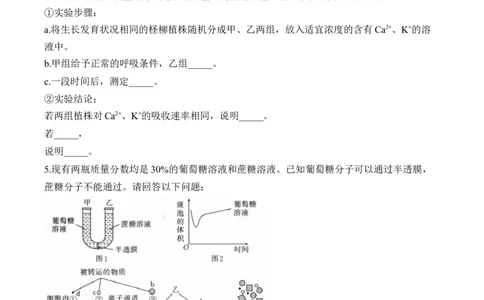 专题2细胞的结构与物质运输（非选择题）&mdash;&mdash;2025届高考生物学模块分练新高考版（含解析）_2025年新高考资料_二轮复习