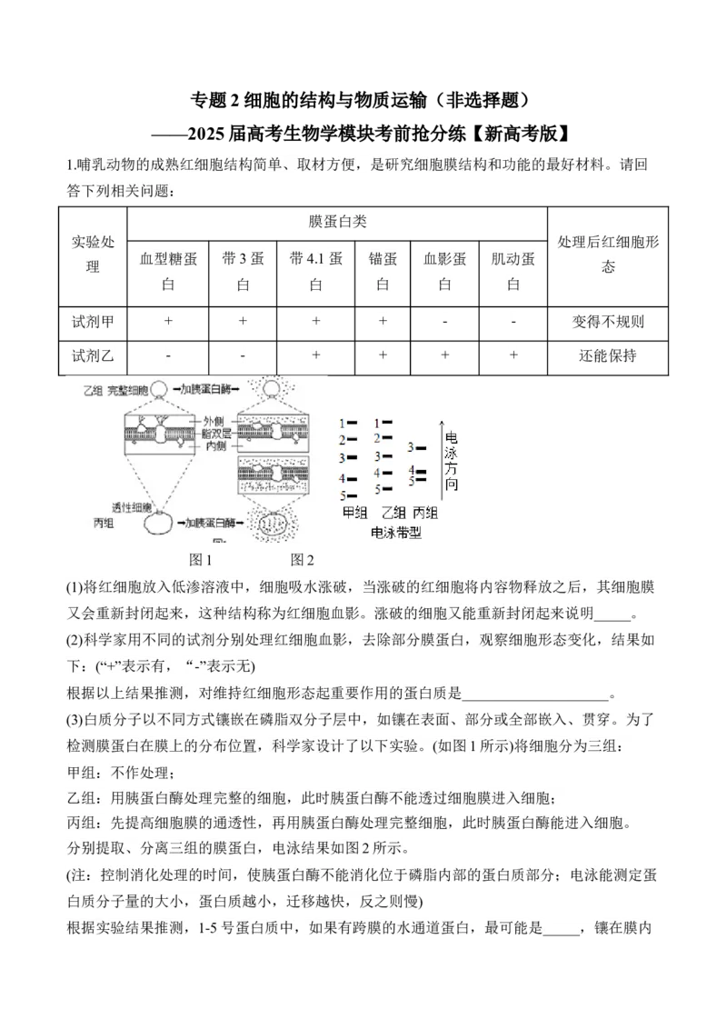 专题2细胞的结构与物质运输（非选择题）&mdash;&mdash;2025届高考生物学模块分练新高考版（含解析）_2025年新高考资料_二轮复习