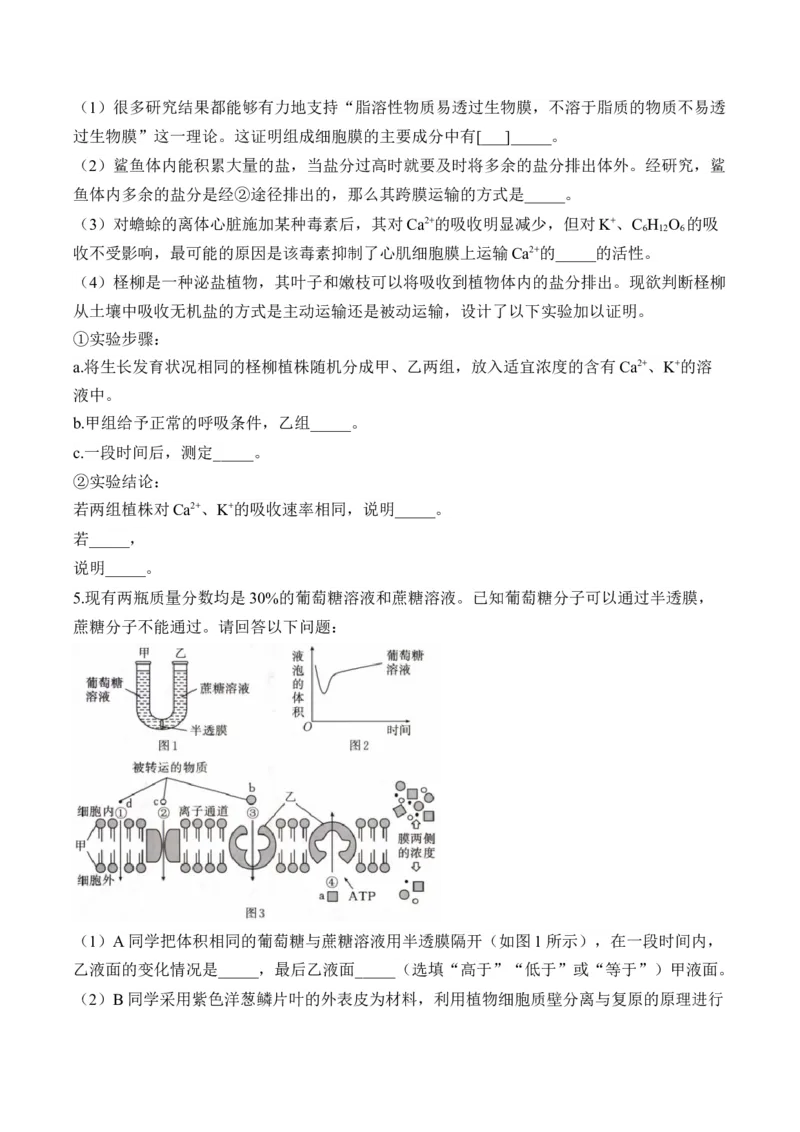 专题2细胞的结构与物质运输（非选择题）&mdash;&mdash;2025届高考生物学模块分练新高考版（含解析）_2025年新高考资料_二轮复习