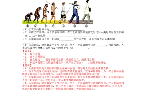 4.1.1人类的起源和发展-（人教版）（解析版）_初中全科电子版试卷练习试题_生物_生物人教版7下练习_人教生物7年级下课时练习40份