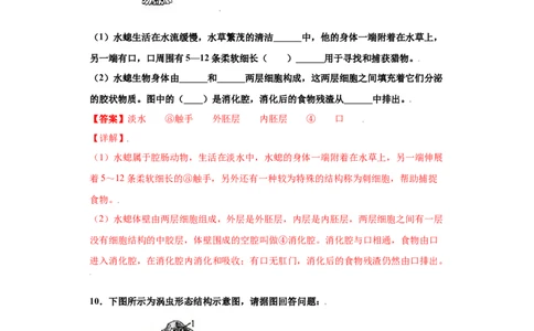 5.1.1腔肠动物和扁形动物（练习）（解析版）_初中全科电子版试卷练习试题_生物_生物8上练习_人教生物8年级上课时练习37份_第1套八年级生物上册课时练习（人教版）16份