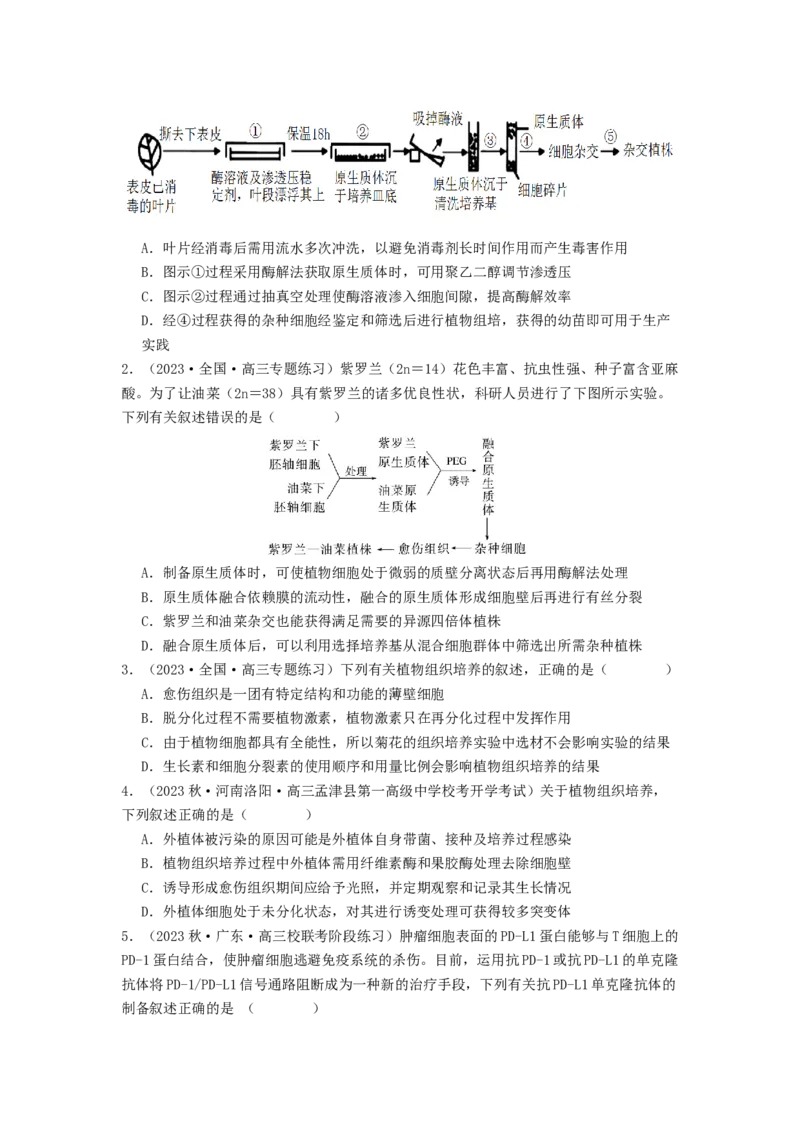 专题23细胞工程（原卷版）_通用版（老高考）复习资料_2024年复习资料_完备战2024年高考生物一轮复习抢分特训（全国通用）