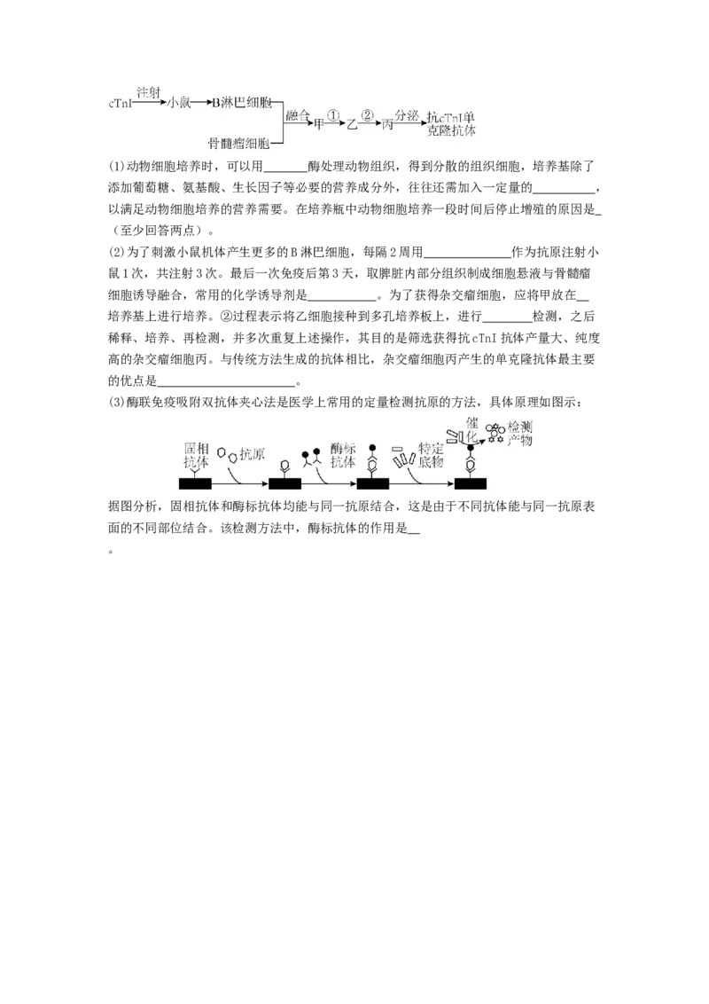 专题23细胞工程（原卷版）_通用版（老高考）复习资料_2024年复习资料_完备战2024年高考生物一轮复习抢分特训（全国通用）