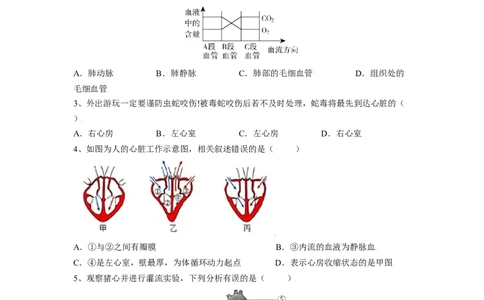 4.4.3输送血液的泵&mdash;心脏（原卷版）_初中全科电子版试卷练习试题_生物_生物人教版7下练习_人教生物7年级下课时练习40份_第2套七年级生物下册课时练习（人教版）20份